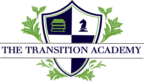 The Transition Academy